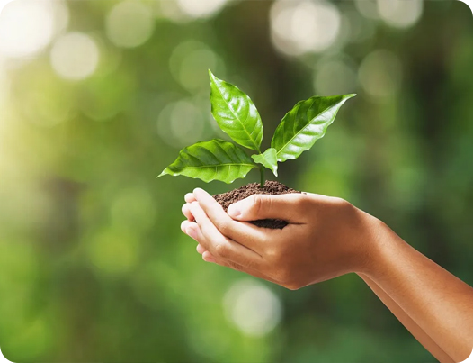 Jiangsu Dingshun Medical Supplies Co., Ltd.